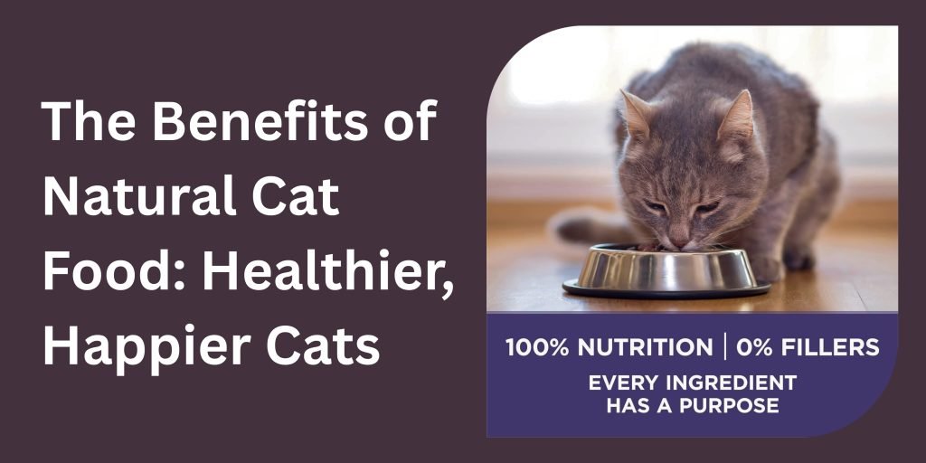 benefits of natural cat food