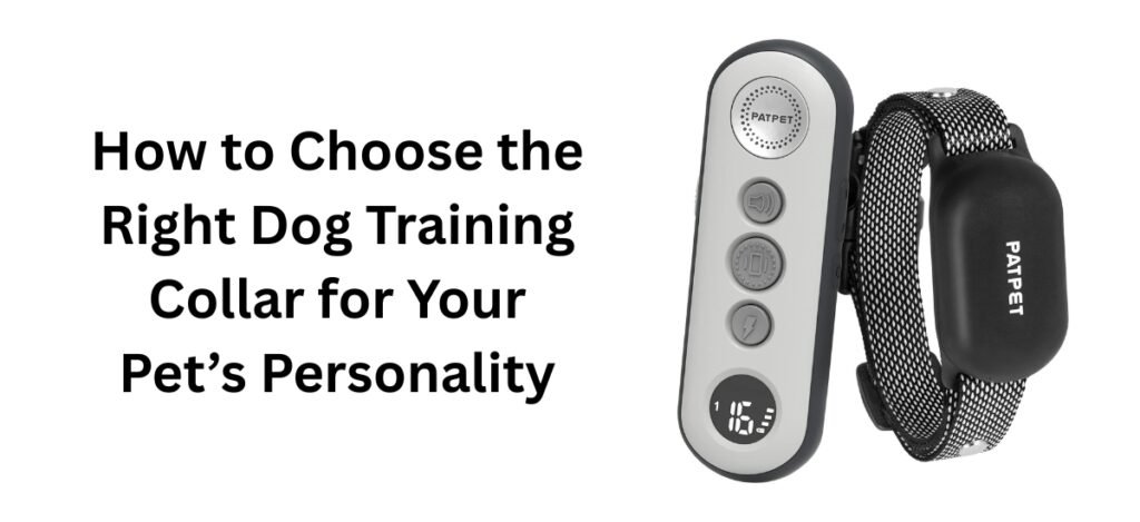 Choose the Right Dog Training Collar