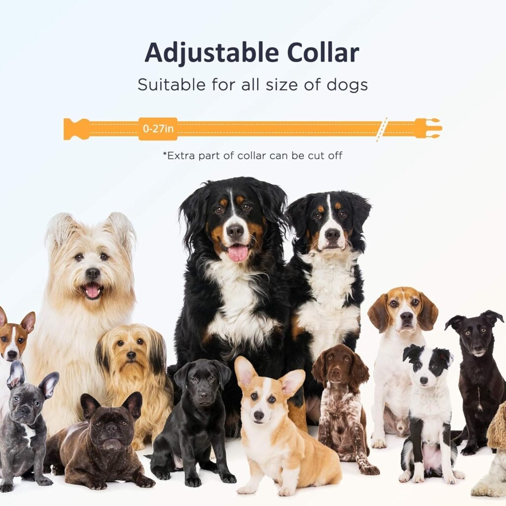 adjustable Dog Training Collar