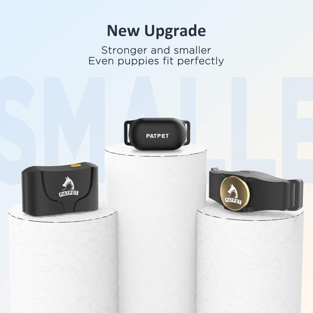 best Dog Training Collar