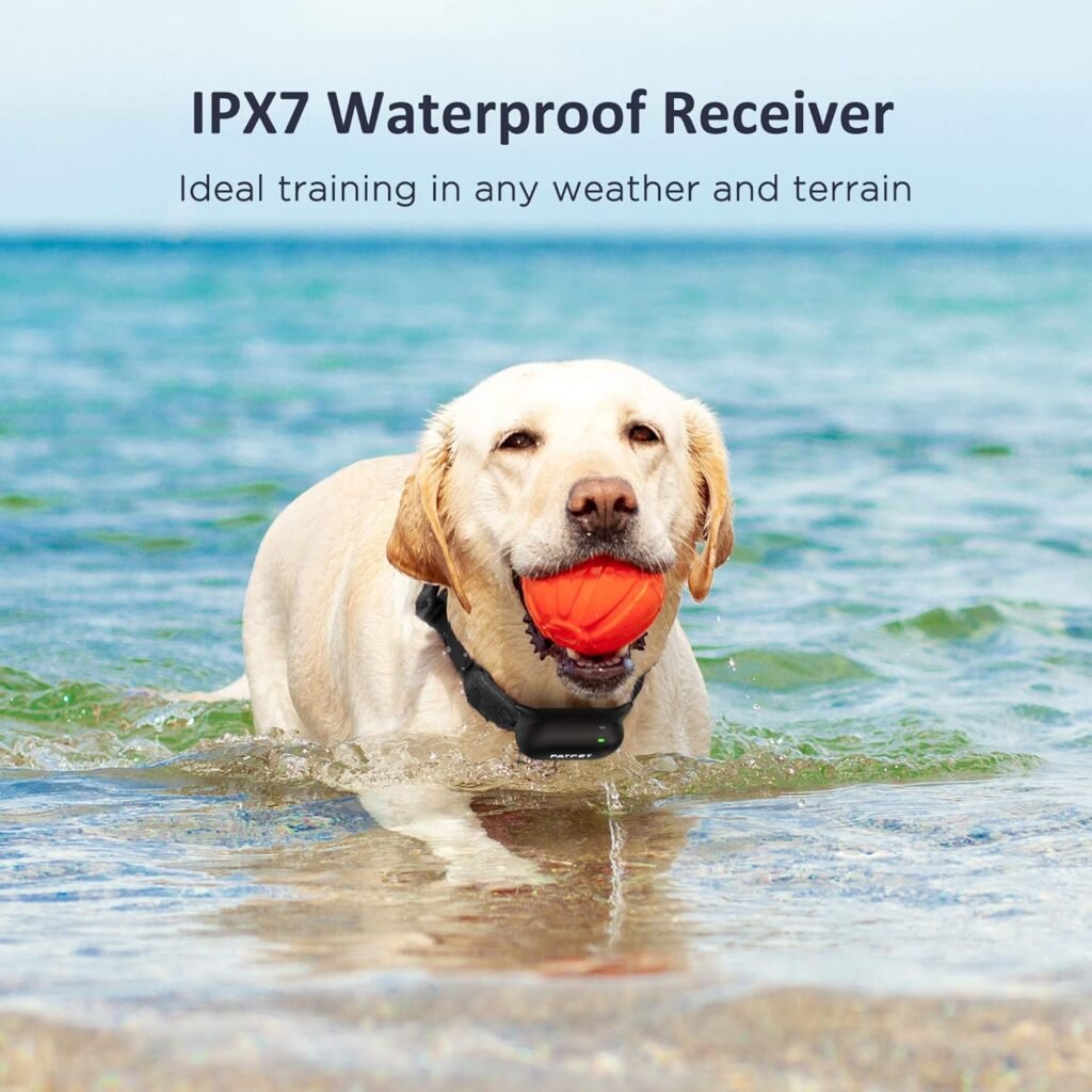 waterproof Dog Training Collar